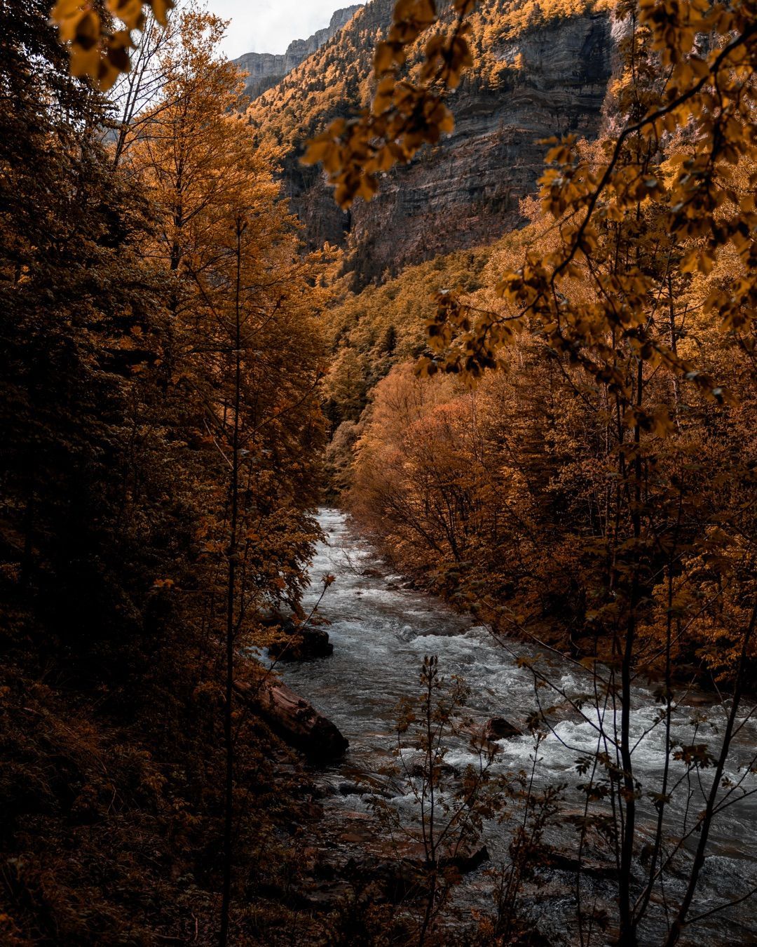 Servicios de fotografía